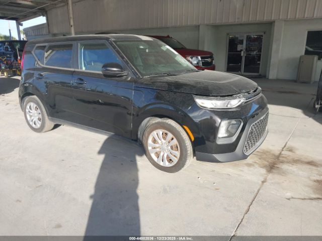 2022 KIA SOUL KNDJ23AU3N7800582