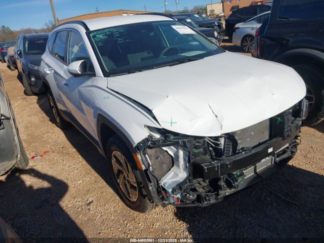 2025 HYUNDAI TUCSON HYBRID KM8JBDD12SU304222