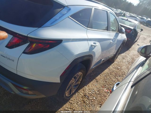 2025 HYUNDAI TUCSON HYBRID KM8JBDD12SU304222 Photo 3