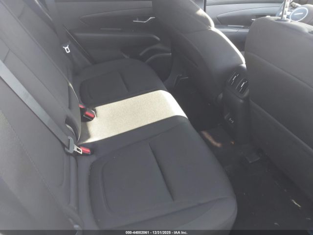 2025 HYUNDAI TUCSON HYBRID KM8JBDD12SU304222 Photo 7