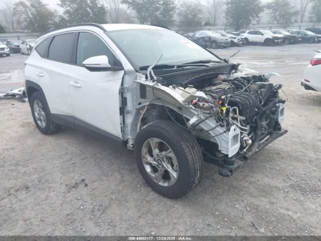 2023 HYUNDAI TUCSON 5NMJBCAE5PH259099
