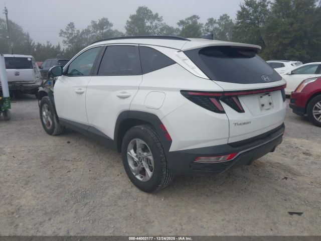 2023 HYUNDAI TUCSON 5NMJBCAE5PH259099 Photo 2