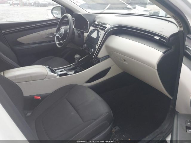 2023 HYUNDAI TUCSON 5NMJBCAE5PH259099 Photo 4