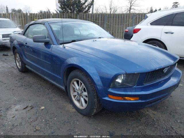 2006 FORD MUSTANG 1ZVFT84N665166263