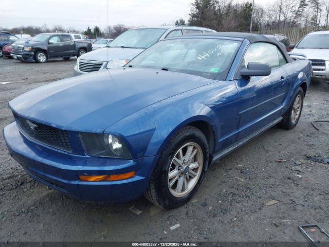 2006 FORD MUSTANG 1ZVFT84N665166263 Photo 1