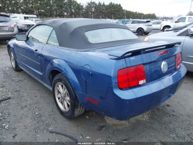 2006 FORD MUSTANG 1ZVFT84N665166263 Photo 2