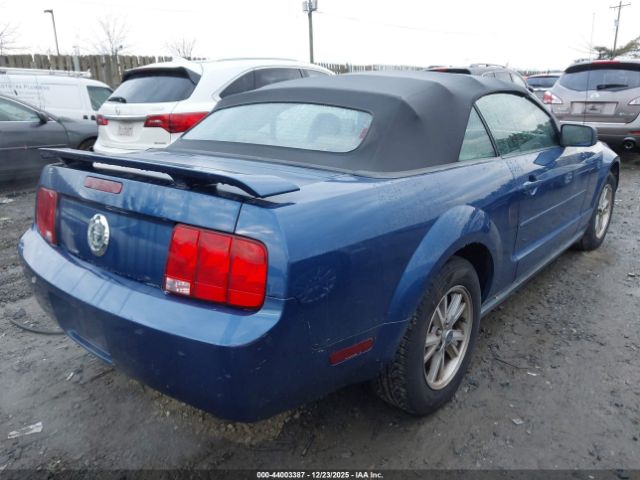 2006 FORD MUSTANG 1ZVFT84N665166263 Photo 3
