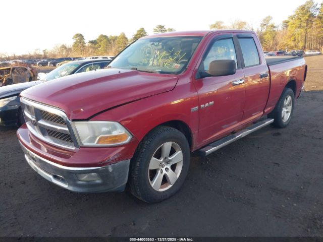 2009 DODGE RAM 1500 1D3HV18T09S707519 Photo 1