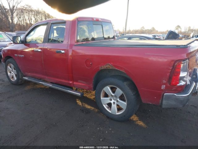 2009 DODGE RAM 1500 1D3HV18T09S707519 Photo 2
