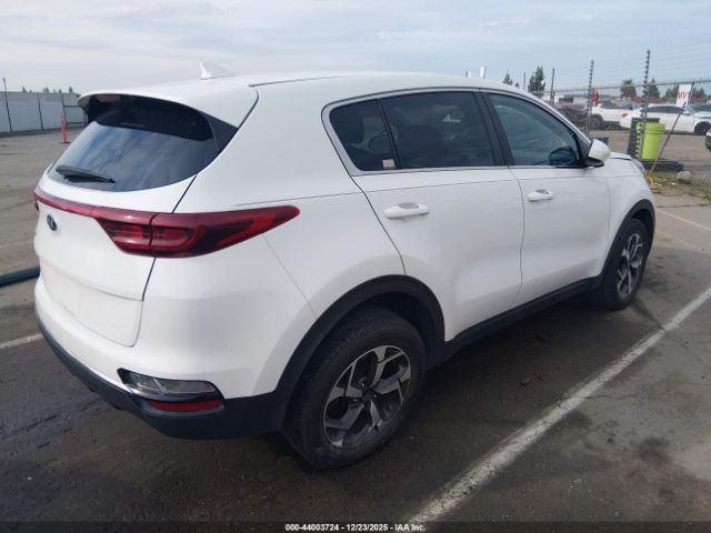 2020 KIA SPORTAGE KNDPM3AC6L7764816 Photo 3