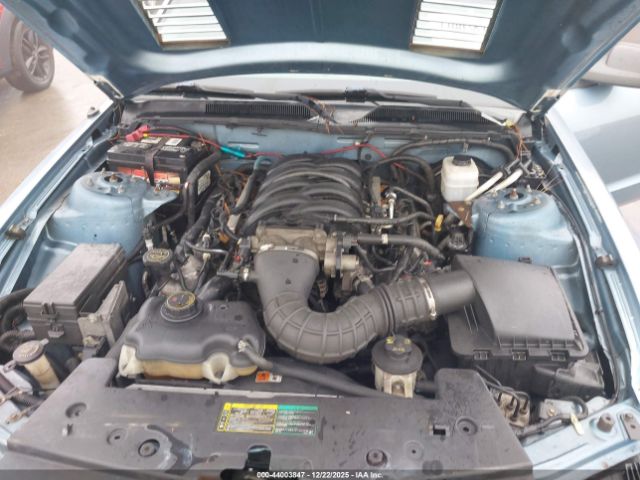 2005 FORD MUSTANG 1ZVHT82H955105056 Photo 9