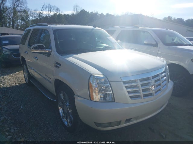 2010 CADILLAC ESCALADE 1GYUKBEF6AR249155 Photo 0