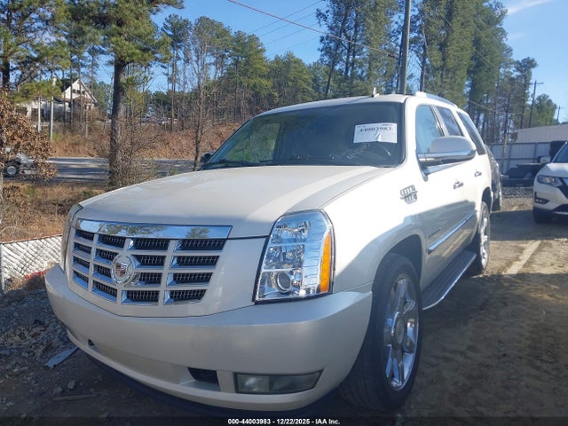 2010 CADILLAC ESCALADE 1GYUKBEF6AR249155 Photo 1