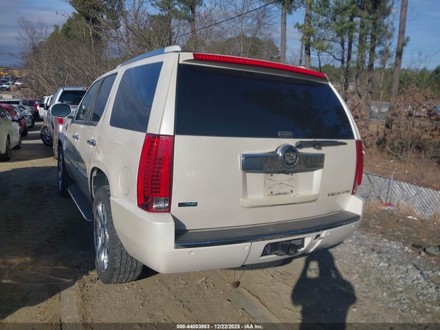2010 CADILLAC ESCALADE 1GYUKBEF6AR249155 Photo 2