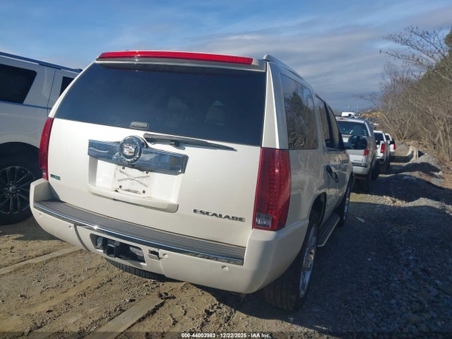 2010 CADILLAC ESCALADE 1GYUKBEF6AR249155 Photo 3