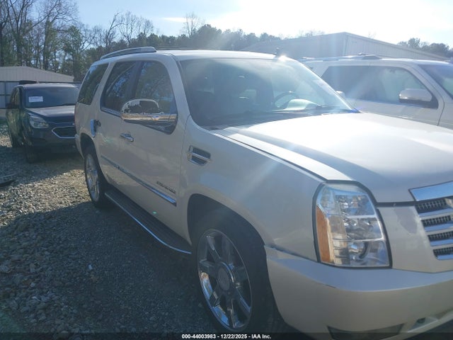 2010 CADILLAC ESCALADE 1GYUKBEF6AR249155 Photo 5