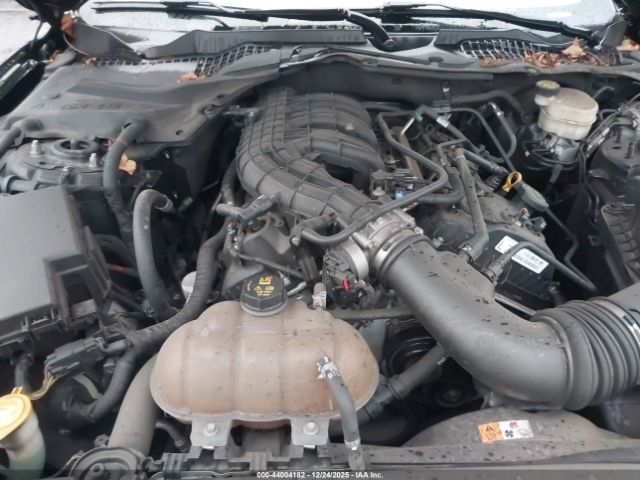 2015 FORD MUSTANG 1FA6P8AM5F5396031 Photo 9