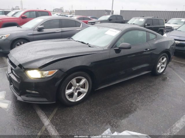 2015 FORD MUSTANG 1FA6P8AM5F5396031 Photo 1