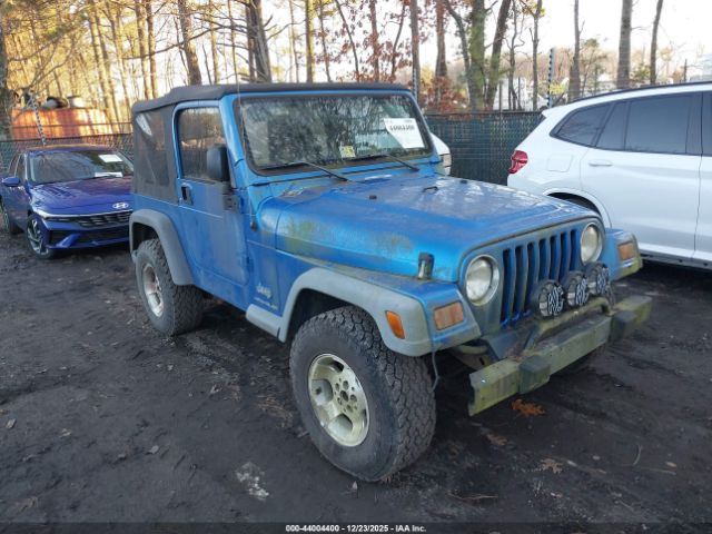 2003 JEEP WRANGLER 1J4FA29173P366865