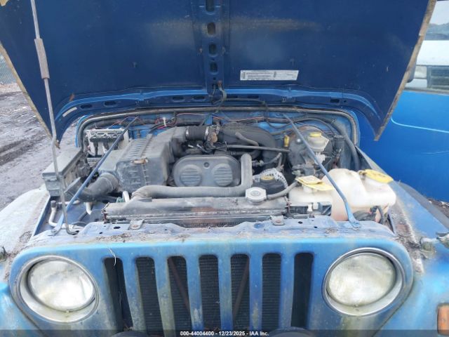 2003 JEEP WRANGLER 1J4FA29173P366865 Photo 9