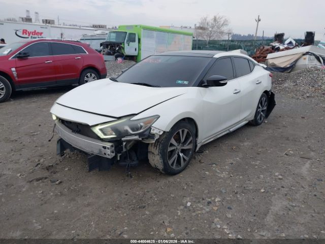 2016 NISSAN MAXIMA 1N4AA6AP6GC904899 Photo 1