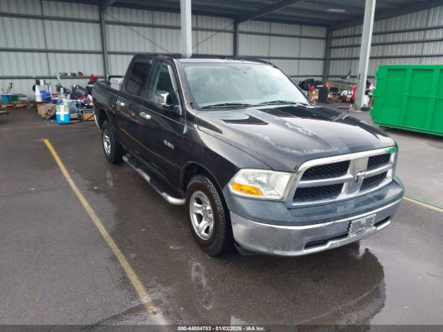 2010 DODGE RAM 1500 1D7RB1CP6AS247177