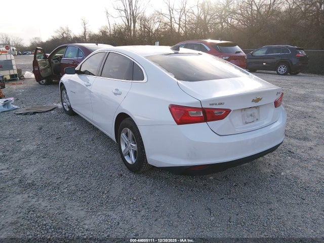 44005111 :رقم المزاد ، 1G1ZB5ST4KF178783 vin ، 2019 Chevrolet Malibu 1ls مزاد بيع