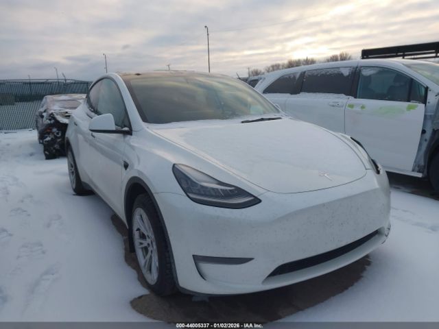 2021 TESLA MODEL Y 5YJYGDEE4MF234000