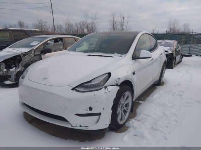 2021 TESLA MODEL Y 5YJYGDEE4MF234000 Photo 1