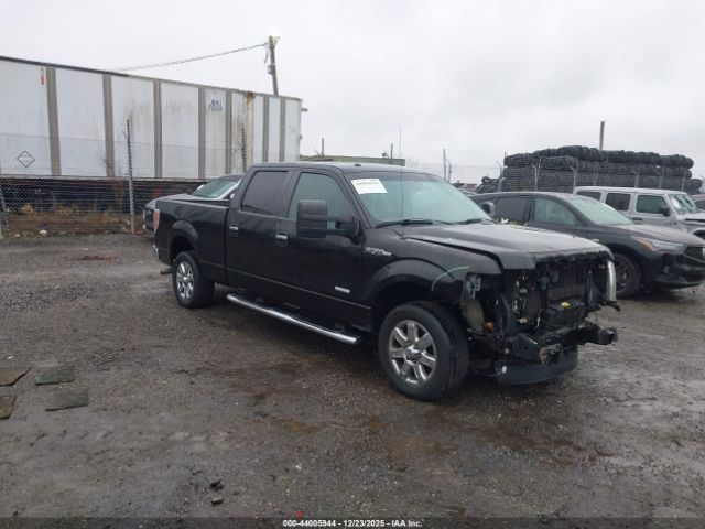 2013 FORD F-150 1FTFW1CT3DFD95704