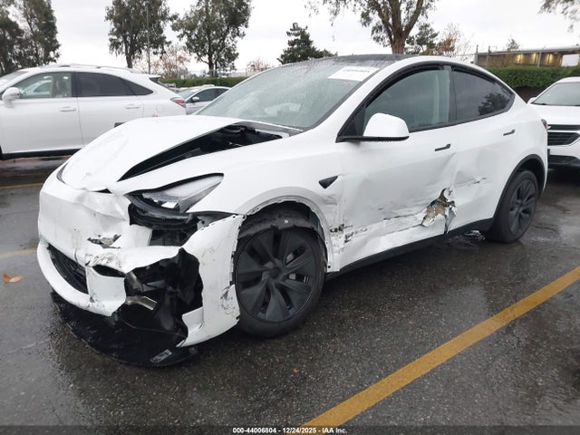 2024 TESLA MODEL Y 7SAYGDED3RF149621 Photo 1