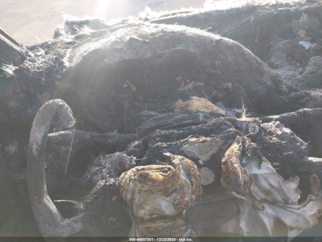 2011 CHEVROLET CORVETTE 1G1YG2DW8B5106090 Photo 6