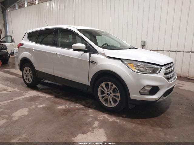 2019 FORD ESCAPE 1FMCU0GDXKUC37869