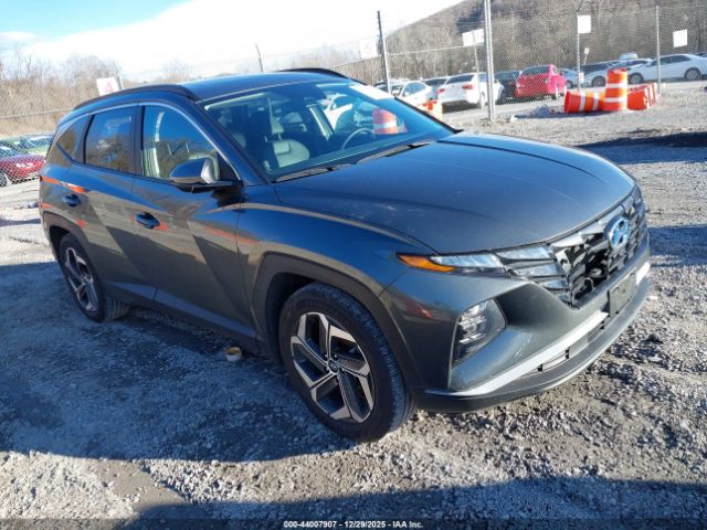 2023 HYUNDAI TUCSON 5NMJF3AE8PH163391