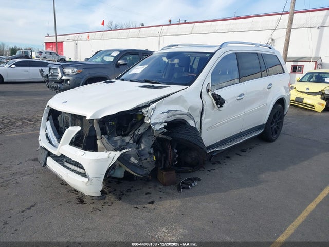 2011 MERCEDES-BENZ GL 550 4JGBF8GE4BA689220 Photo 1