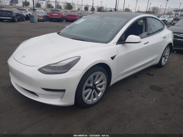 2021 TESLA MODEL 3 5YJ3E1EA7MF090308 Photo 1