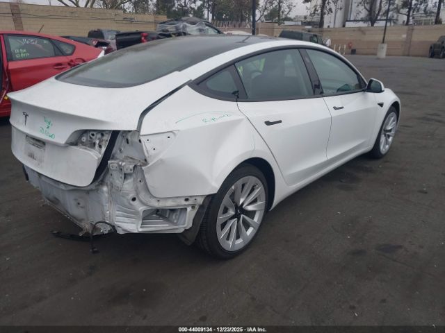 2021 TESLA MODEL 3 5YJ3E1EA7MF090308 Photo 3