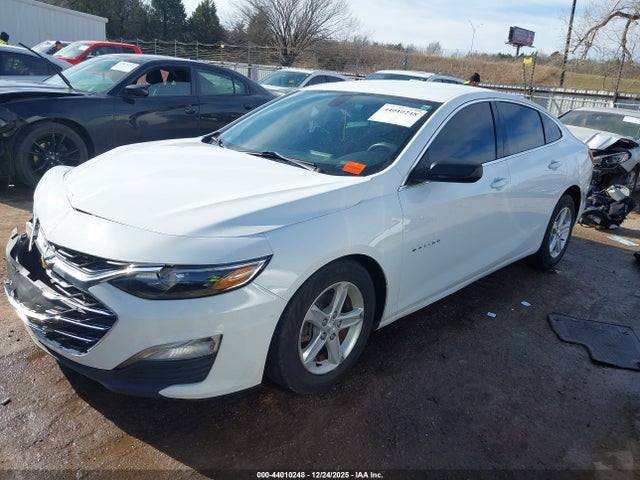 44010248 :رقم المزاد ، 1G1ZB5STXKF227274 vin ، 2019 Chevrolet Malibu 1ls مزاد بيع