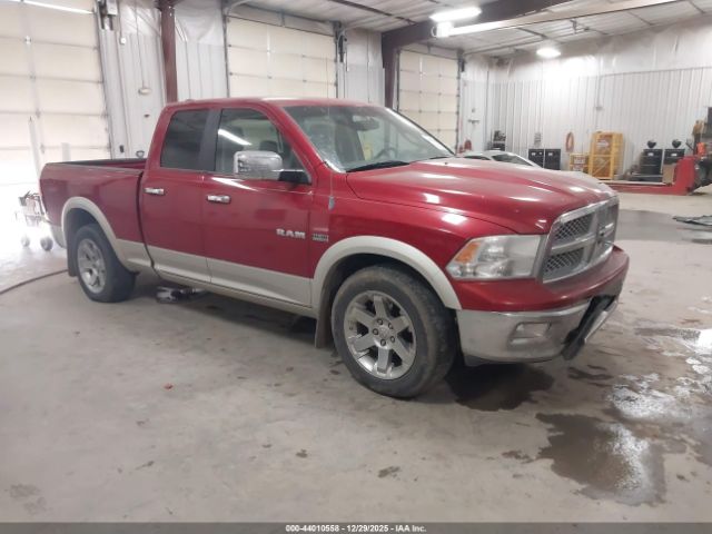 2009 DODGE RAM 1500 1D3HB18T59S776828