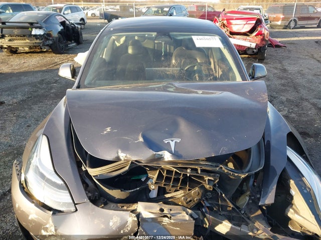 Tesla Model 3 Standard Range Plus Rear-wheel Drive 2021 5YJ3E1EA1MF850961 Image 12