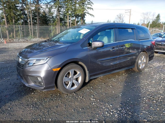 5FNRL6H71KB117092 Honda Odyssey Ex-l