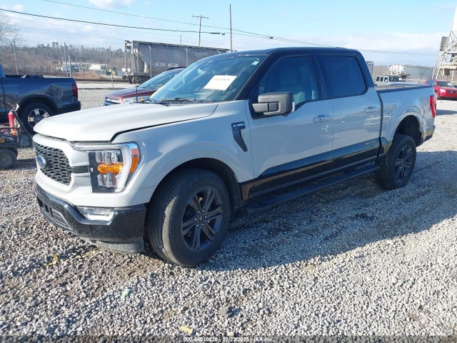 Ford F-150 Xlt 2023 1FTFW1E80PKF21019 Image 2