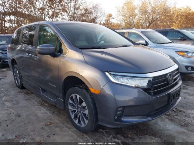 2022 HONDA ODYSSEY 5FNRL6H73NB063959