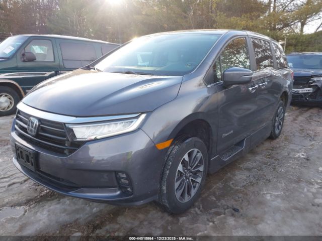 2022 HONDA ODYSSEY 5FNRL6H73NB063959 Photo 1