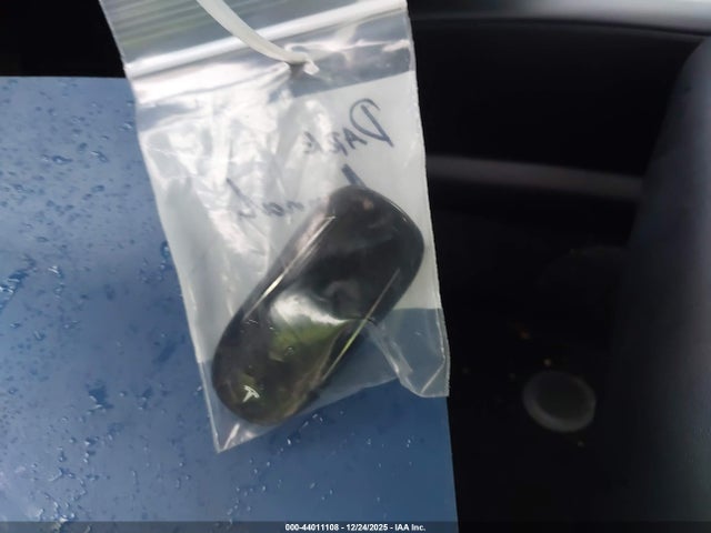 2017 TESLA MODEL X 5YJXCDE29HF060900 Photo 10