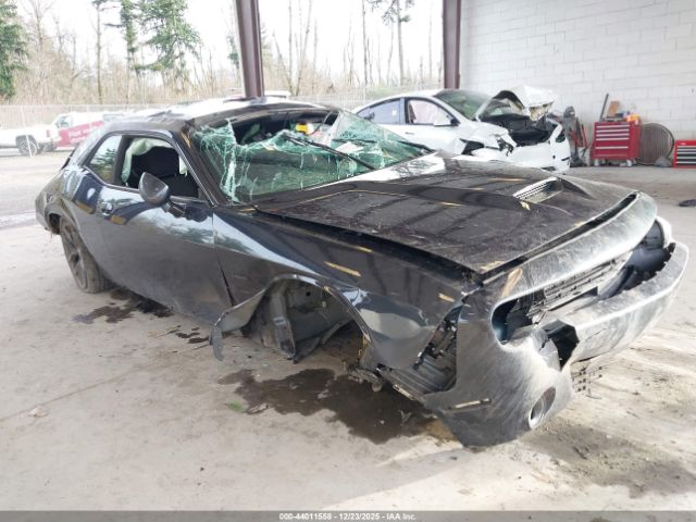 2019 DODGE CHALLENGER 2C3CDZBT3KH660470