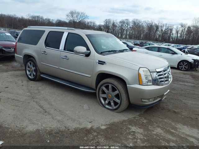 2007 CADILLAC ESCALADE ESV 1GYFK66837R235030