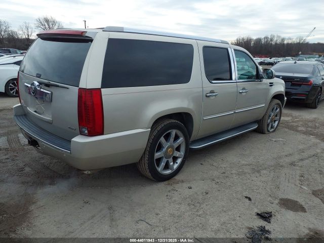 2007 CADILLAC ESCALADE ESV 1GYFK66837R235030 Photo 3