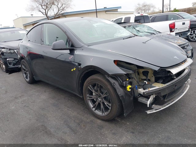 2025 TESLA MODEL Y 7SAYGAEE5SF216913 Photo 0