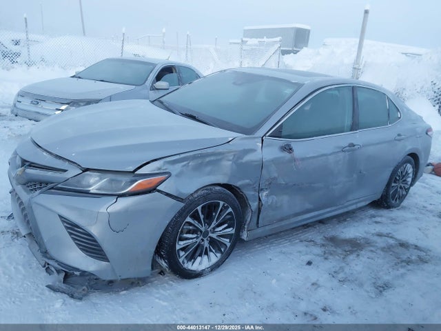 4T1M11AK4LU879242 Toyota CAMRY SE